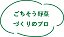 ごちそう野菜づくりのプロ